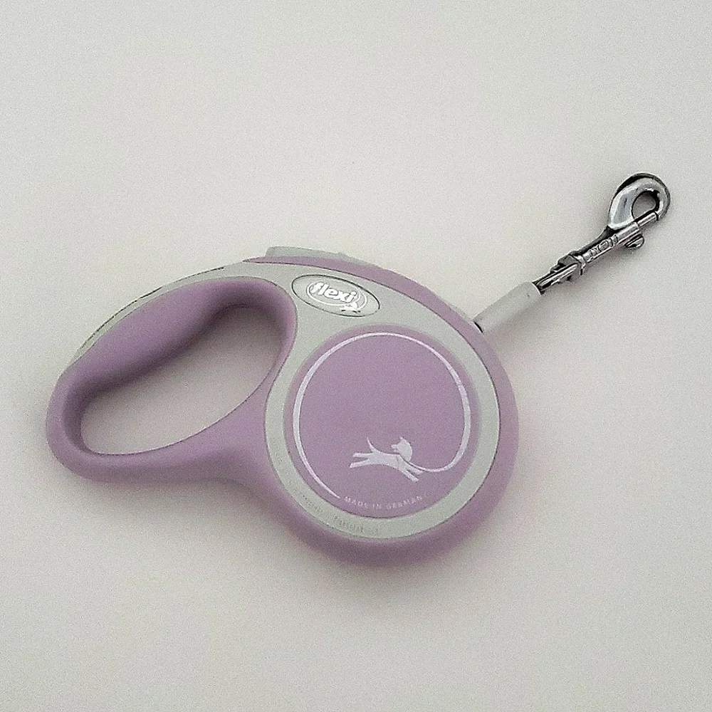 Small dog flexi leash - Picture 1 of 6